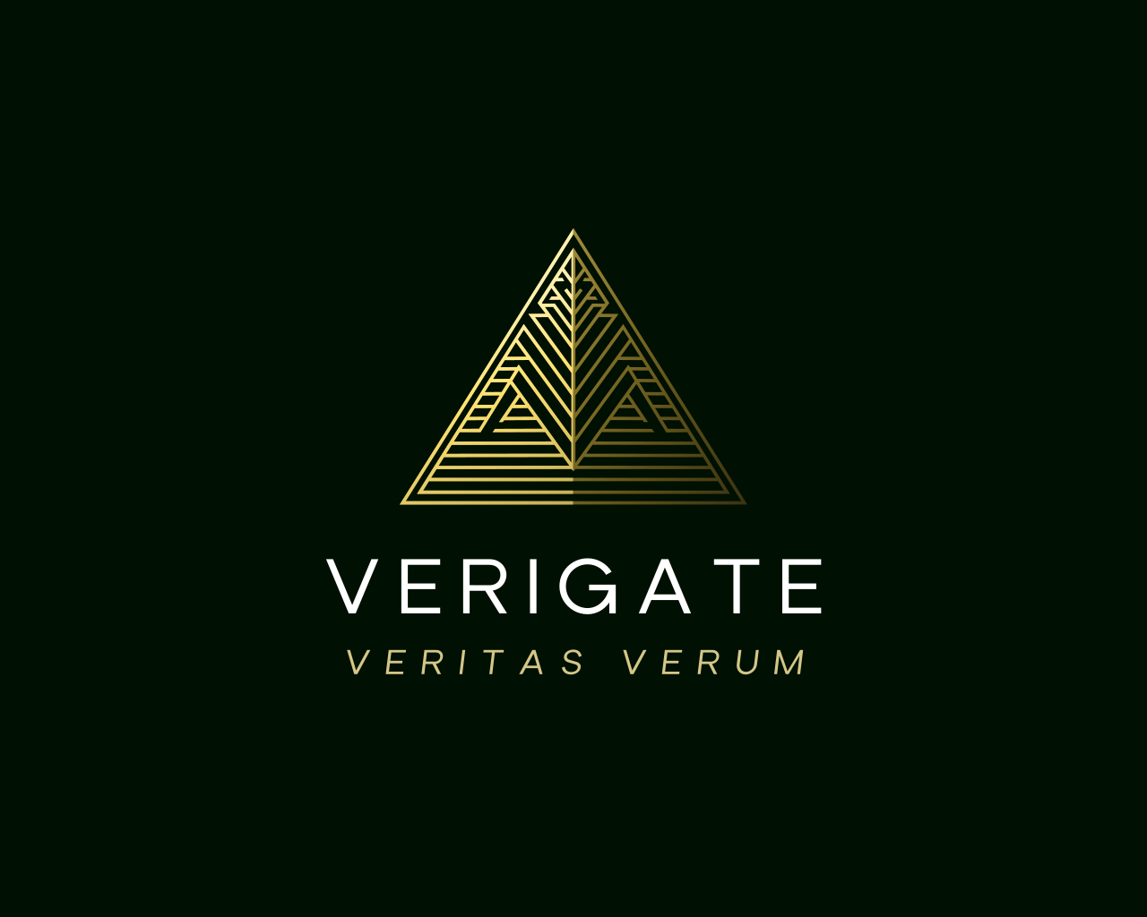 Verigate Private Investigations Logo